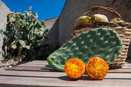 Opunciový olej - kaktusem proti vráskám